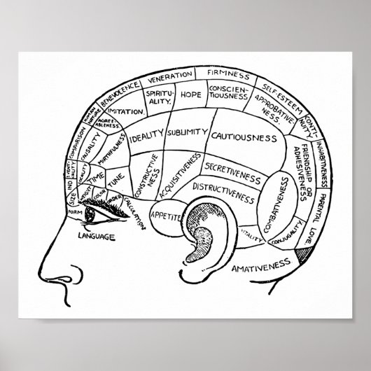 Psychologie  phrenology psychiatrie brain poster (Voorkant)
