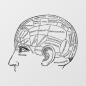Psychologie  phrenology psychiatrie brain raamsticker (Vel)