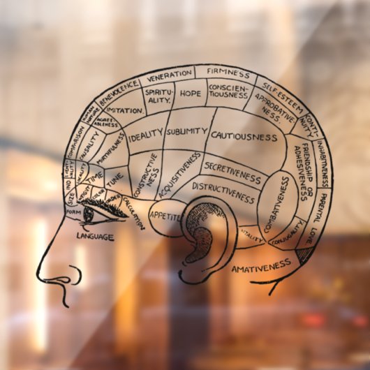 Psychologie  phrenology psychiatrie brain raamsticker (Vel 2)
