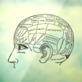 Psychologie  phrenology psychiatrie brain raamsticker (Vel 3)