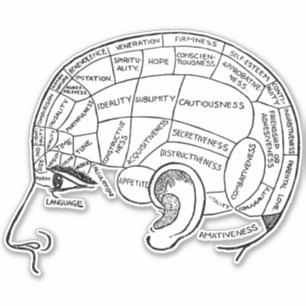 Psychologie phrenology psychiatrie brain sticker