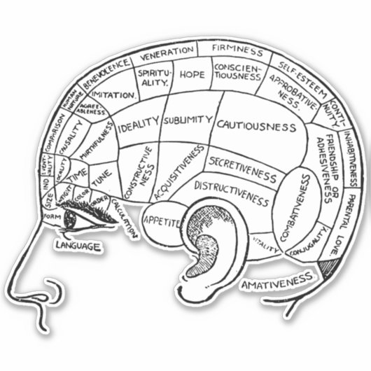 Psychologie phrenology psychiatrie brain sticker (Voorkant)