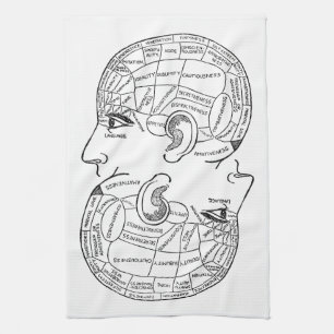 Psychologie  phrenology psychiatrie brain theedoek