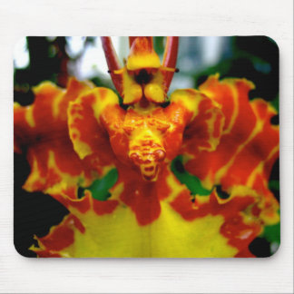Psychopsis Orchid Mousepad Muismat