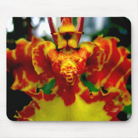 Psychopsis Orchid Mousepad Muismat (Voorkant)