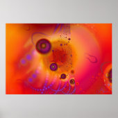 Psyctopus embryo poster (Voorkant)