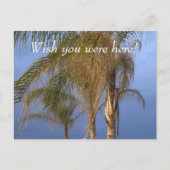 Pt. Aangename NJ Wou dat je hier was! Palmbomen Briefkaart (Voorkant)