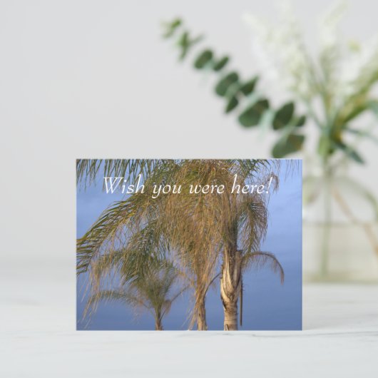 Pt. Aangename NJ Wou dat je hier was! Palmbomen Briefkaart (Staand voorkant)