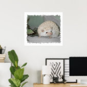 Ptarmigan de Egel Poster (Thuiskantoor)