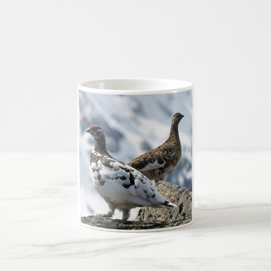 Ptarmigan Koffiemok (Center)