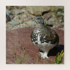 Ptarmigan met witte staart - 676 stuks legpuzzel