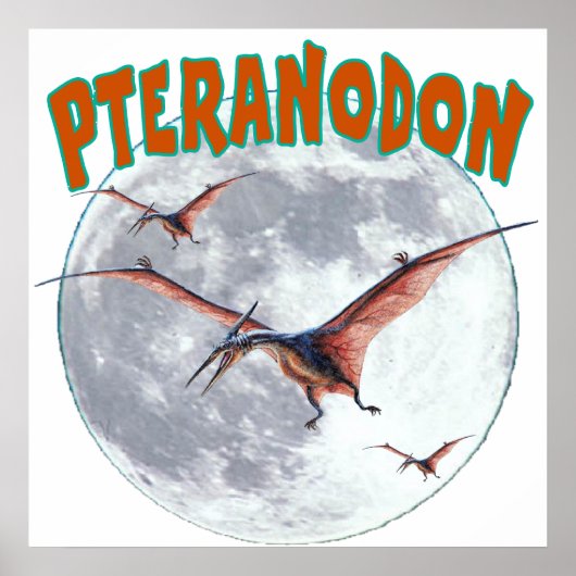 Pteranodon dinosaur poster (Voorkant)