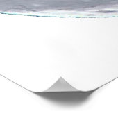 Pteranodon dinosaur poster (Hoek)