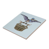 Pteranodon met een mandje tegeltje (Zijkant)