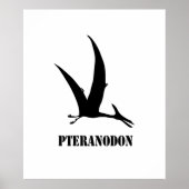 pteranodon poster (Voorkant)