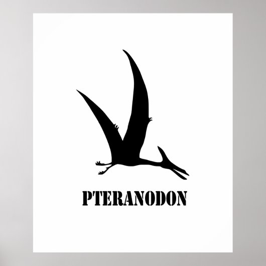 pteranodon poster (Voorkant)