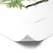 Pteridium aquilinum poster (Hoek)
