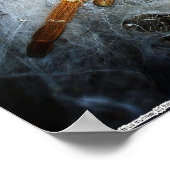 Pterinochilus murinus poster (Hoek)