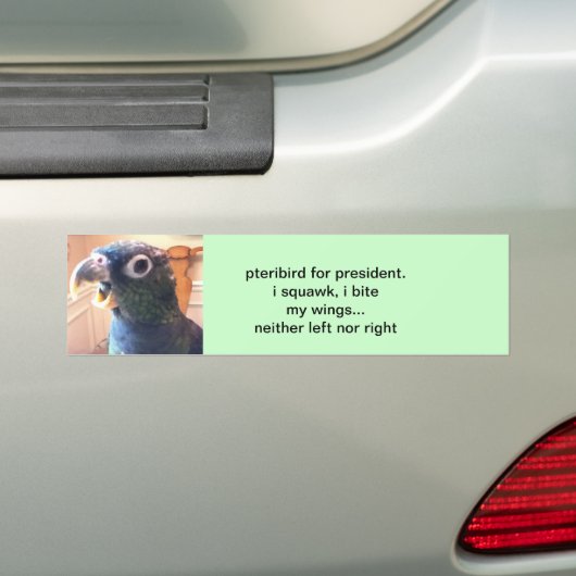 pterivogel voor president bumpersticker (Op auto)