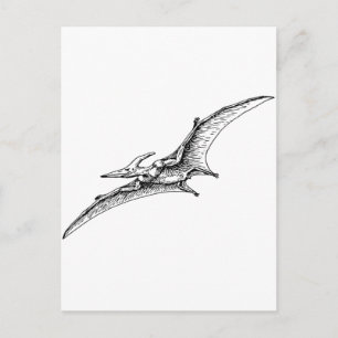 Pterodactyl Briefkaart
