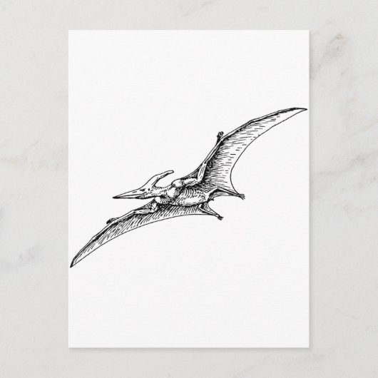 Pterodactyl Briefkaart (Voorkant)