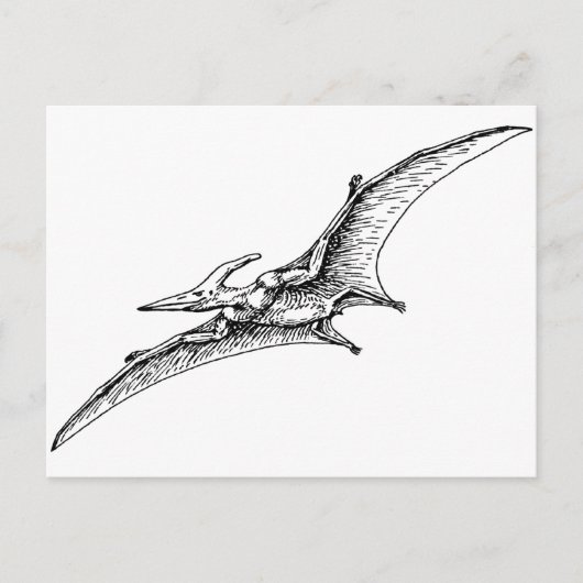 Pterodactyl Briefkaart (Voorkant)