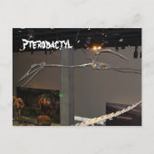 Pterodactyl Briefkaart (Voorkant)