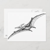 Pterodactyl Briefkaart (Voorkant / Achterkant)