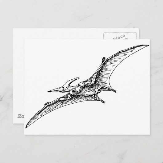 Pterodactyl Briefkaart (Voorkant / Achterkant)