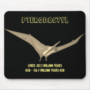 Pterodactyl Dinosaur Muismat