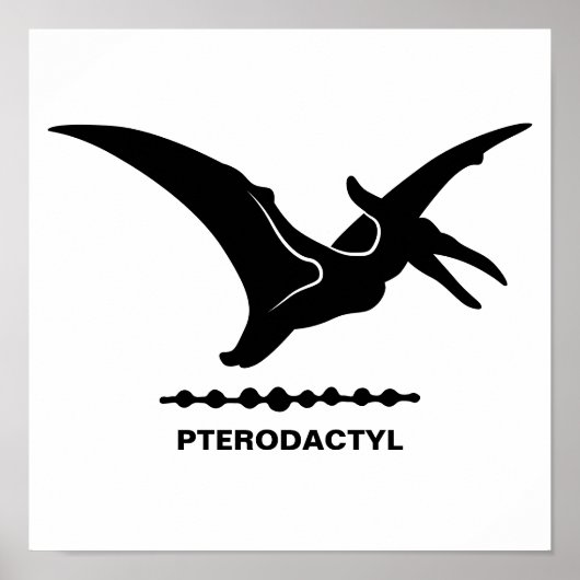 pterodactyl-dinosaurussilhouet poster (Voorkant)