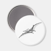Pterodactyl Magneet (Voorkant / Achterkant)