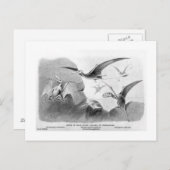 Pterodactyles briefkaart (Voorkant / Achterkant)