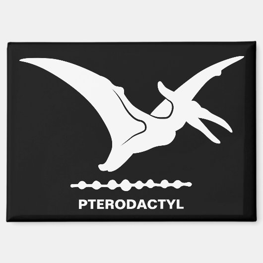 Pterodactylus Dinosaurus Silhouet Magneet (Voorkant)