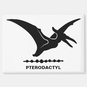 Pterodactylus Dinosaurus Silhouet Magneet