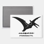 Pterodactylus Dinosaurus Silhouet Magneet (Voorkant / Achterkant)