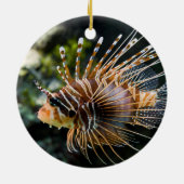 Pterois Antennata Broadbarred Firefish Lionfish Keramisch Ornament (Achterkant)