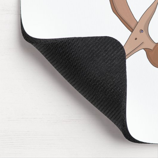 Pterosaur Archosaurs Muismat (Hoek)