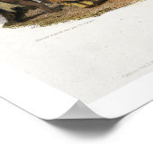 Ptihn-Tak-Ochata, Dans of the Mandan Women, bord Poster (Hoek)