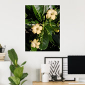 Puakenikeni Poster (Thuiskantoor)