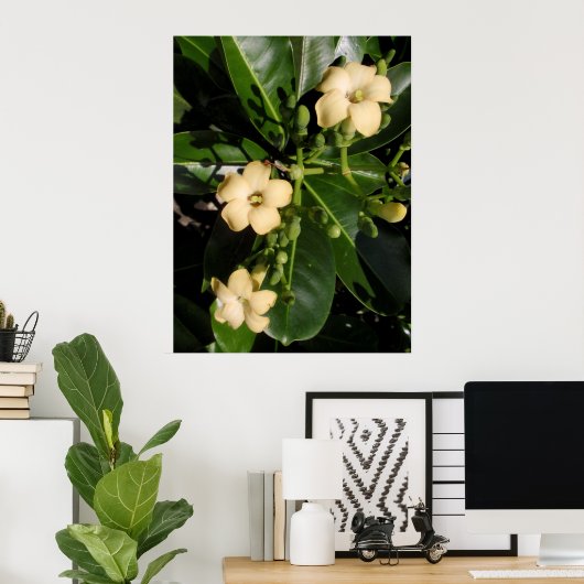 Puakenikeni Poster (Thuiskantoor)