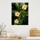 Puakenikeni Poster (Keuken)