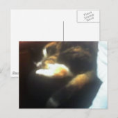 Pub Cat-kopie Briefkaart (Voorkant / Achterkant)