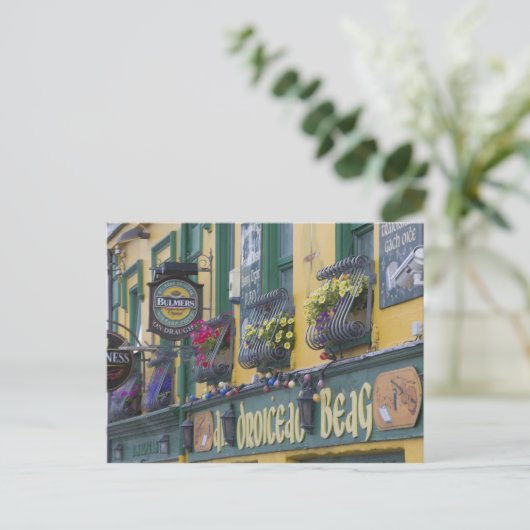 Pub, Dingle, Dingle Peninsula, County Kerry Briefkaart (Staand voorkant)