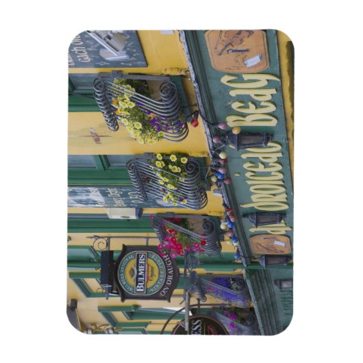 Pub, Dingle, Dingle Peninsula, County Kerry Magneet (Verticaal)