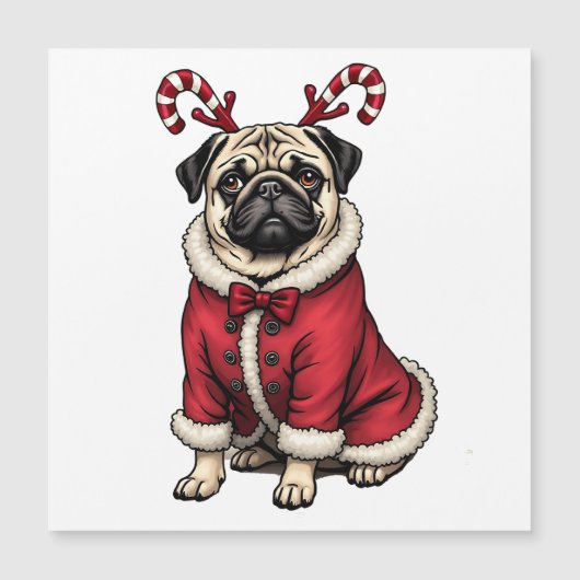 PubHond met Kerstman-pak voor Kerst-liefhebbers (Voorkant)
