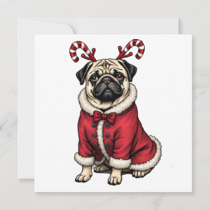 PubHond met Kerstman-pak voor Kerst-liefhebbers