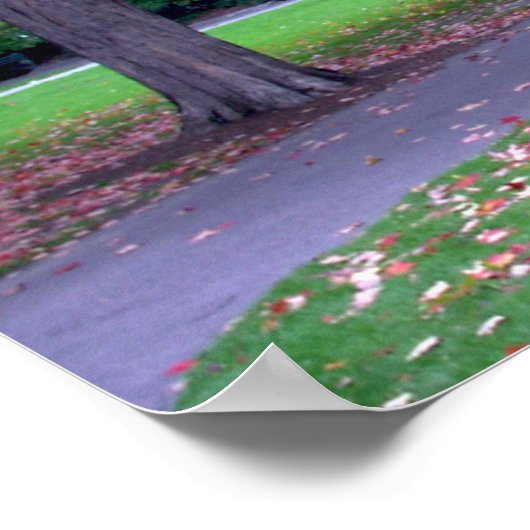 Public Garden Herfst Poster (Hoek)