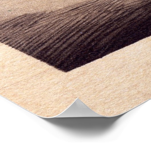 Public Library, New York City  Poster (Hoek)