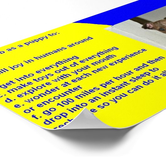 PUBLICATIEREGELS POSTER (Hoek)